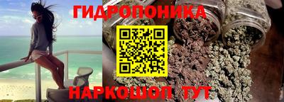 шишки Тулун
