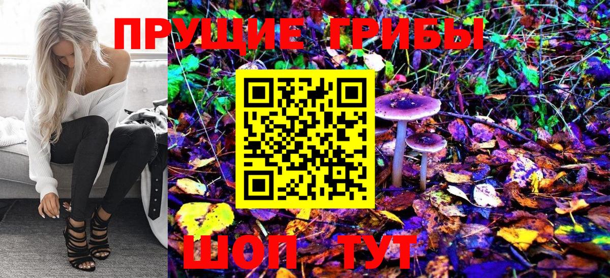 Псилоцибиновые грибы Psilocybe Мирный
