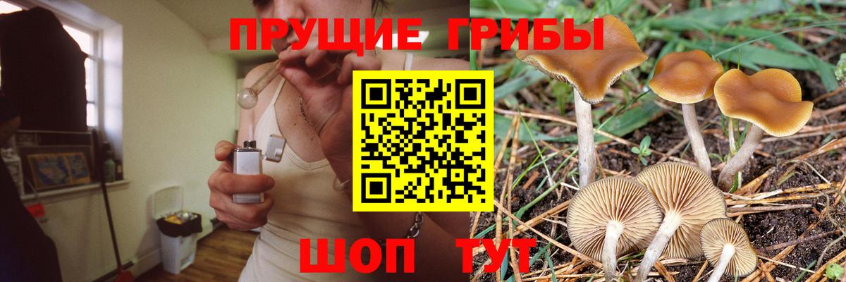 Галлюциногенные грибы Cubensis  Галлюциногенные грибы Psilocybine cubensis  Вход с VPN  Мирный 